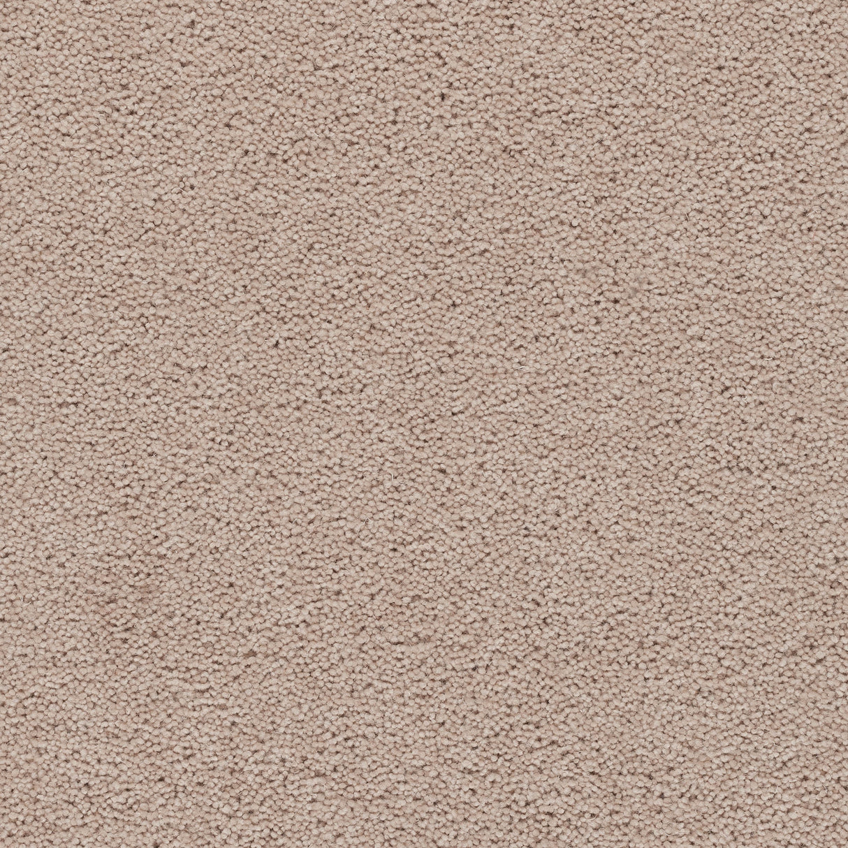 Axminster Devonia Carpet Exen Flooring