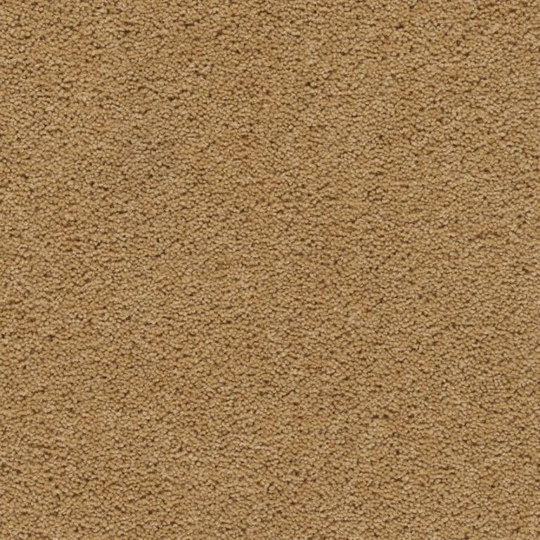 Axminster Devonia Carpet Exen Flooring