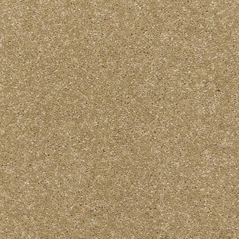 Cormar Raven Carpet Exen Flooring