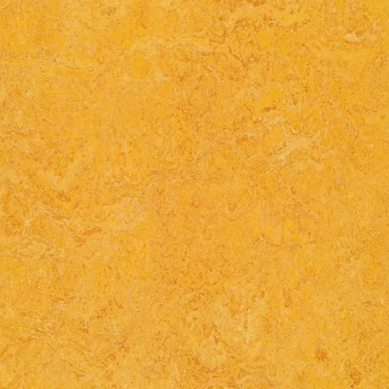 Forbo Marmoleum Authentic Exen Flooring