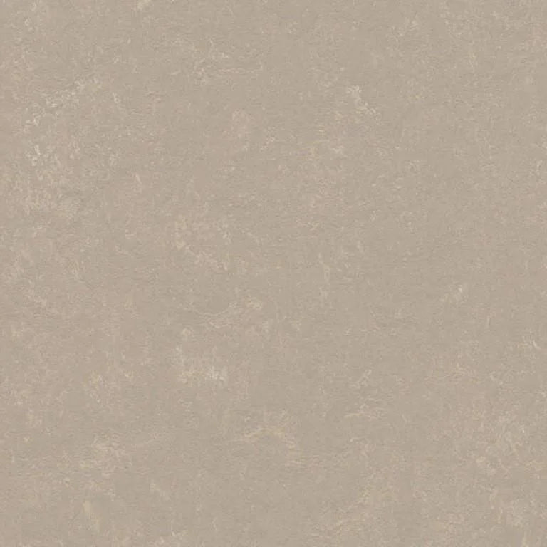 Forbo Marmoleum Concrete 2.5mm Exen Flooring