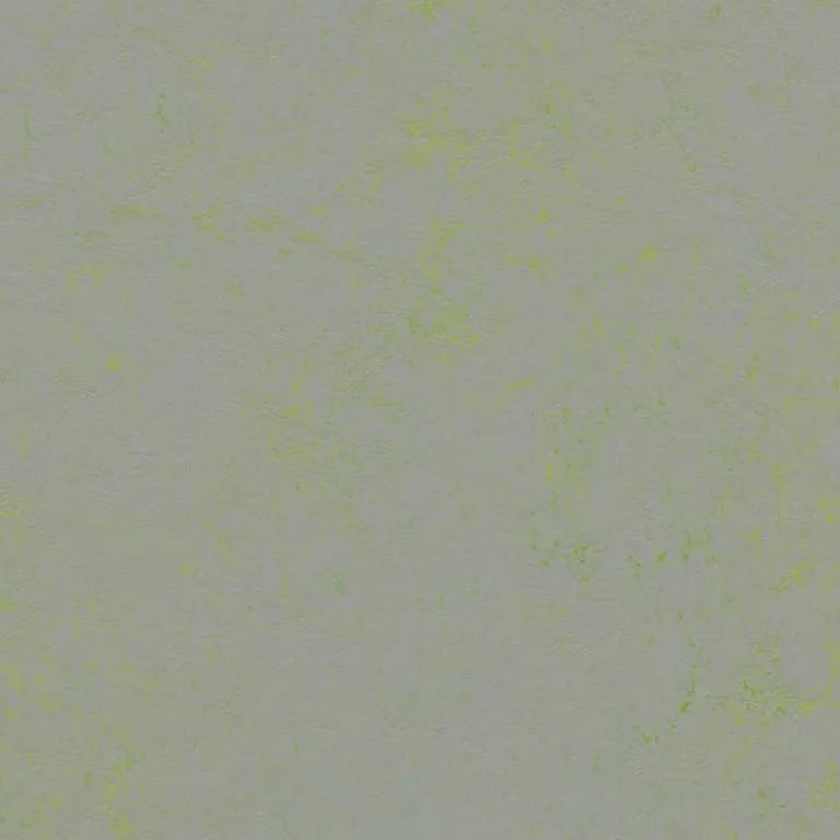 Forbo Marmoleum Concrete 2.5mm Exen Flooring
