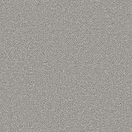 Apollo Plus Carpet
