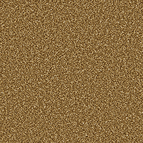 Apollo Plus Carpet