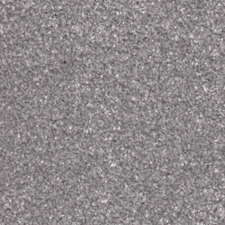 Apollo Plus Carpet