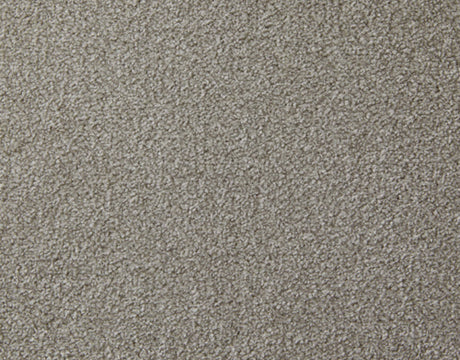 Apollo Plus Carpet