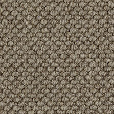 Westex Butterwick Wool Loop Carpet Exen Flooring