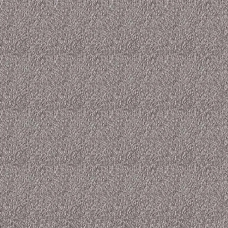 Westex Elysian Divine Carpet Exen Flooring