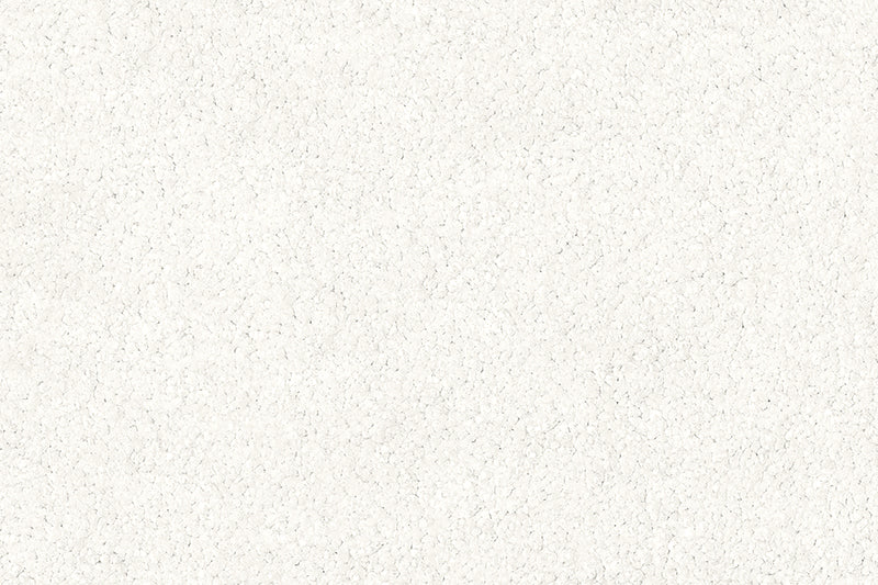 Exen Flooring supply adoro carpet.
