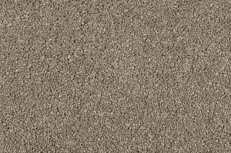 Exen Flooring supply adoro carpet.