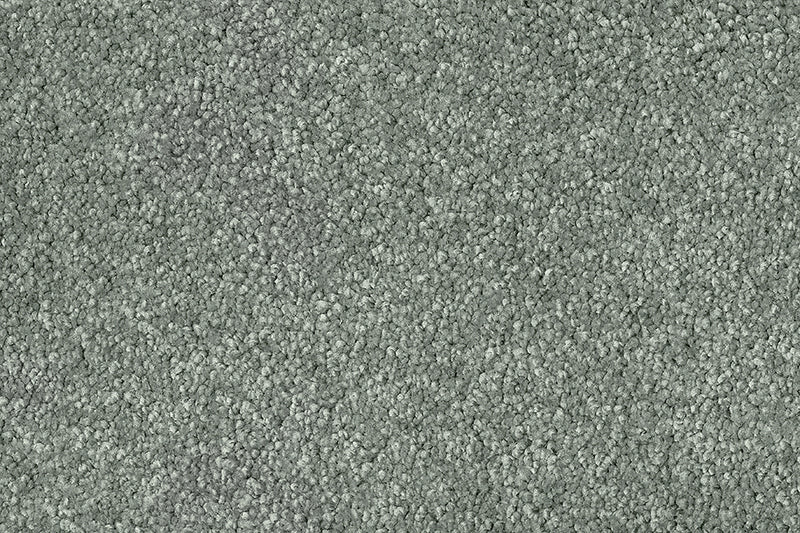 Exen Flooring supply adoro carpet.