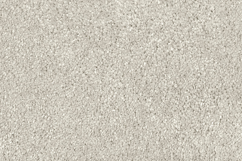 Exen Flooring supply adoro carpet.
