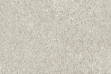 Exen Flooring supply adoro carpet.