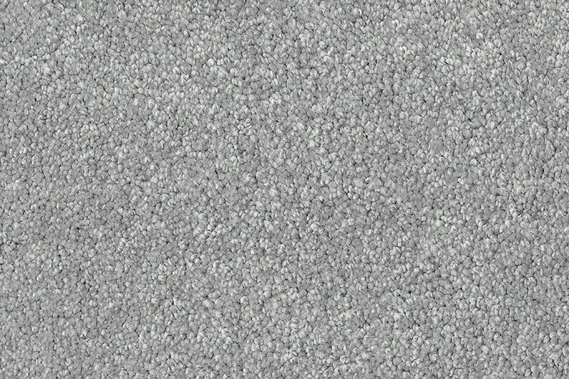 Exen Flooring supply adoro carpet.