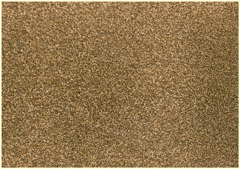 Verona Saxony Carpet