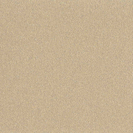 Altro Pisces Safety Vinyl