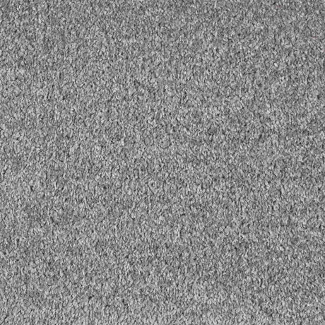 Ideal Floorcoverings Dublin Twist Carpet