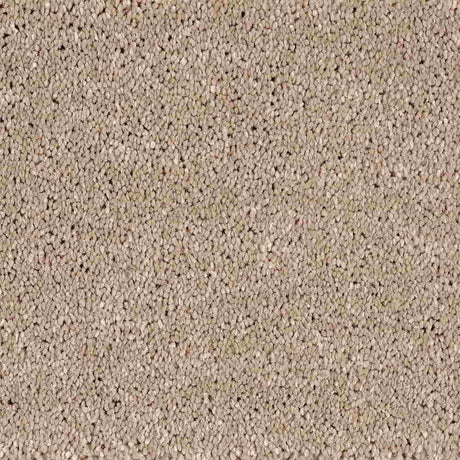Lano Serenade Carpet - 460 Hemp - Exen Flooring