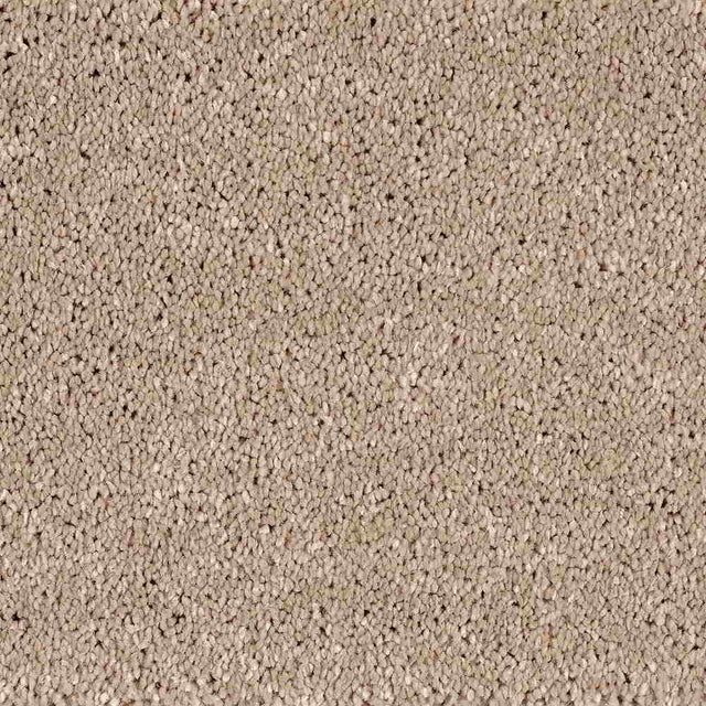 Lano Serenade Carpet - 460 Hemp - Exen Flooring