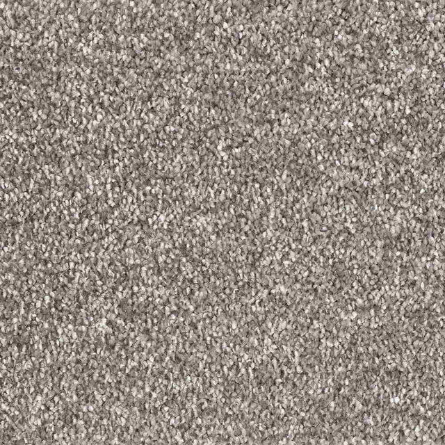 Lano Serenade Carpet - 860 Granite - Exen Flooring