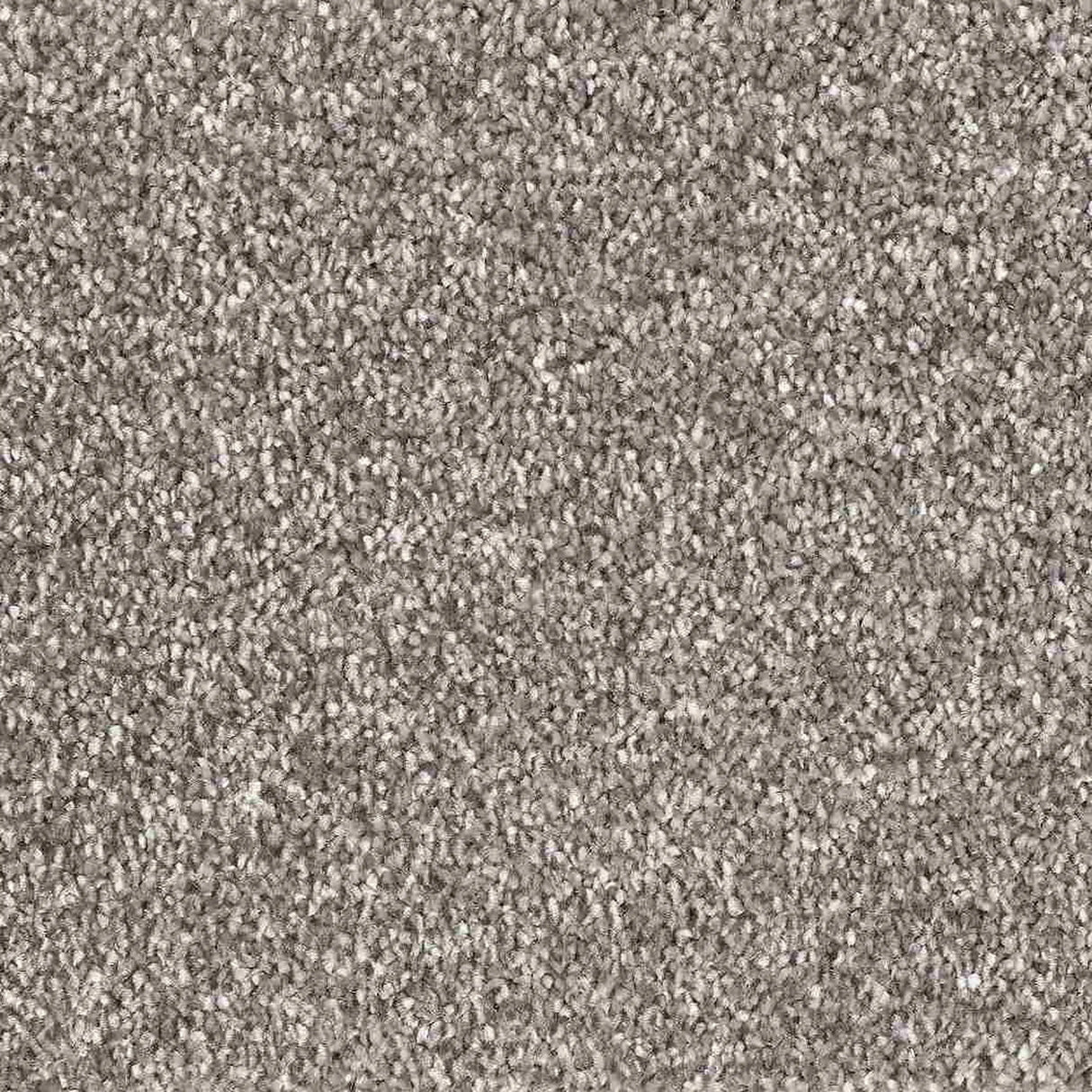 LanoSerenadeCarpet-860Granite - Exen Flooring