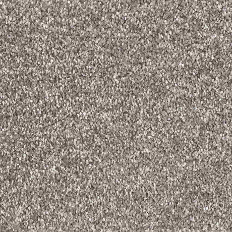 Lano Serenade Carpet - 860 Granite - Exen Flooring