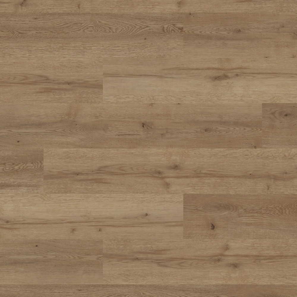 Polyflor Camaro Loc LVT - 3467 Manor Oak - Exen Flooring