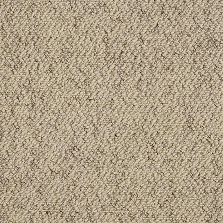 exen-flooring-abingdon-country-weave-carpet-biscotti - Exen Flooring