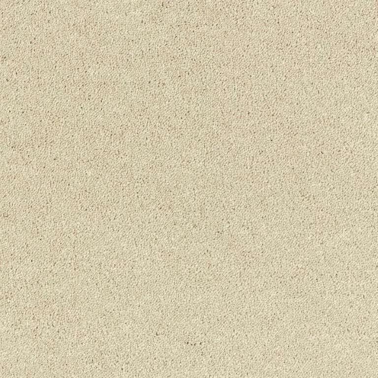 Beige textured carpet flooring for stylish home interiors by Exen Flooring