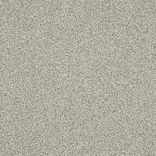 Abingdon Knightsbridge Berber Carpet Exen Flooring