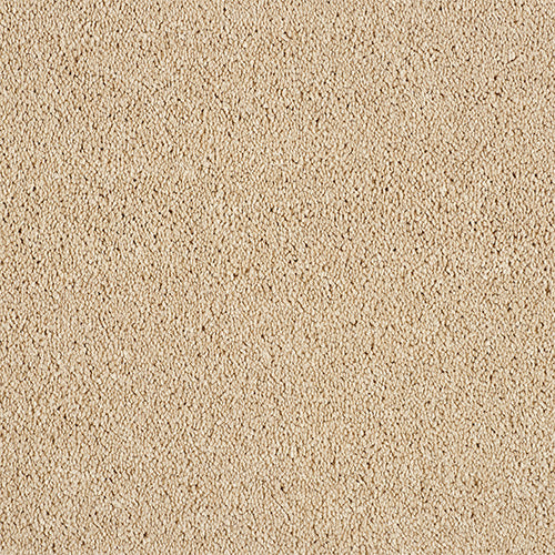 Abingdon Love Story Soft Whisper Carpet Exen Flooring