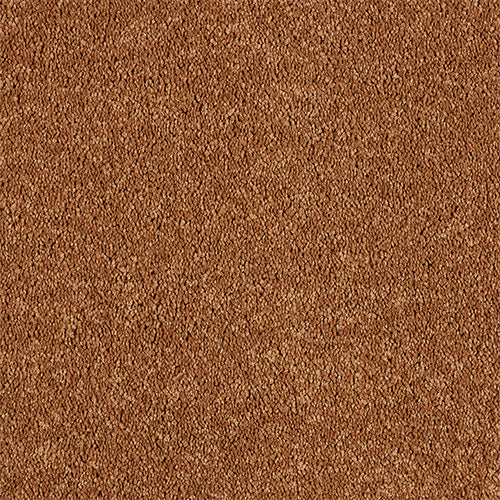 Abingdon Love Story Soft Whisper Carpet Exen Flooring