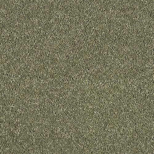 Abingdon Love Story Soft Whisper Carpet Exen Flooring
