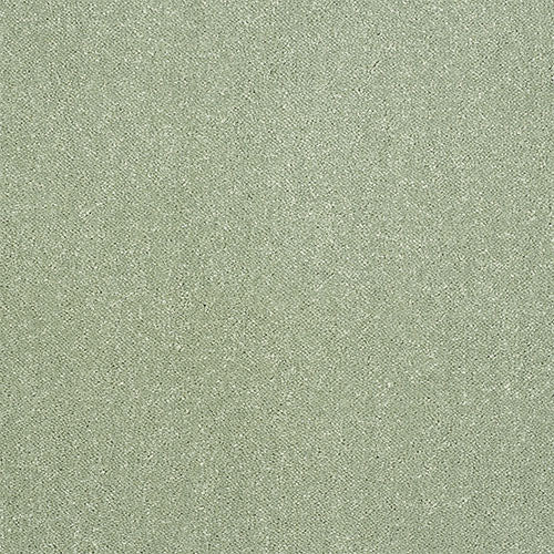 Abingdon Pure Elegance Carpet Exen Flooring