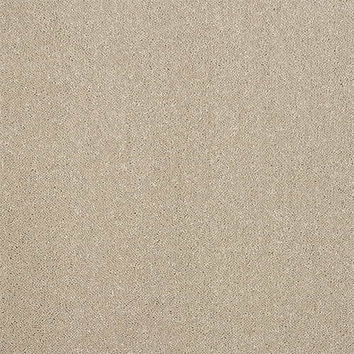 Abingdon Pure Elegance Carpet Exen Flooring