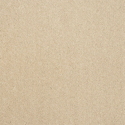 Abingdon Pure Elegance Carpet Exen Flooring