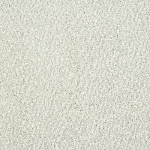 Abingdon Pure Elegance Carpet Exen Flooring