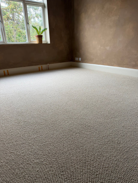 Discover premium Telenzo wool carpet installation by EXEN Flooring.