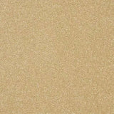 Abingdon Stainfree Twist Carpet Exen Flooring