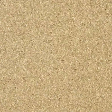 Abingdon Stainfree Twist Carpet Exen Flooring