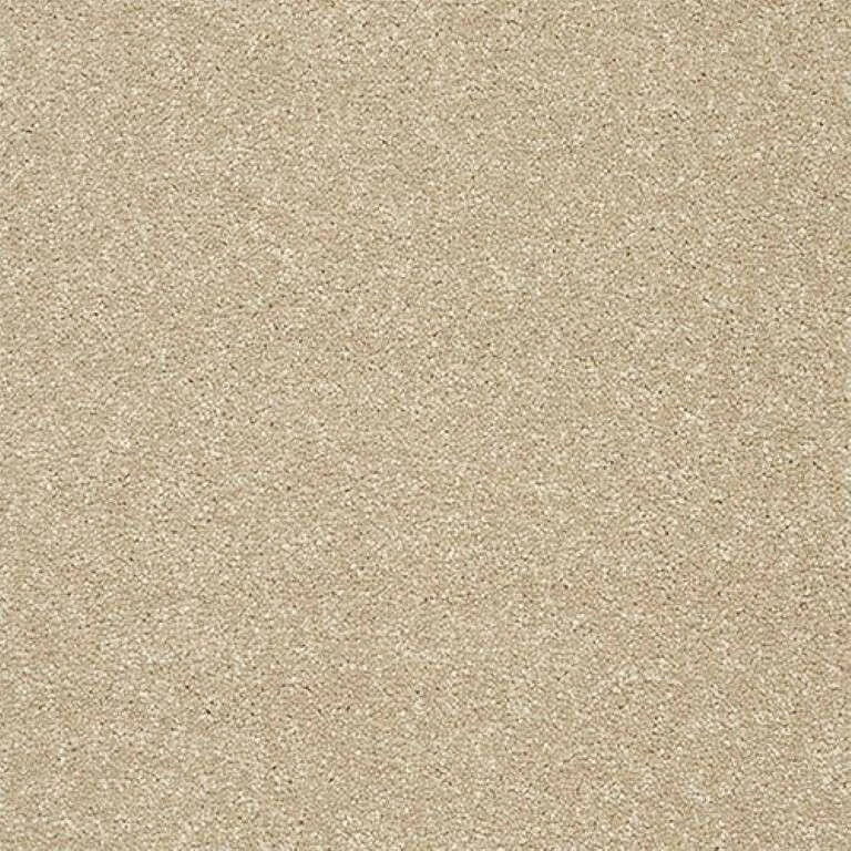 Abingdon Stainfree Twist Carpet Exen Flooring