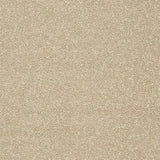 Abingdon Stainfree Twist Carpet Exen Flooring