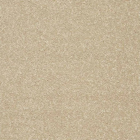 Abingdon Stainfree Twist Carpet Exen Flooring