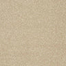 Abingdon Stainfree Twist Carpet Exen Flooring