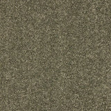 Abingdon Seduction Carpet Exen Flooring