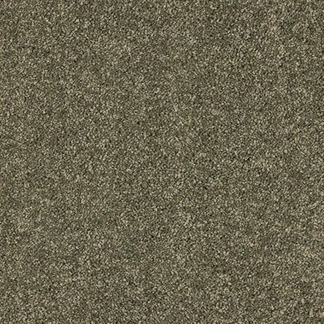 Abingdon Seduction Carpet Exen Flooring