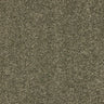 Abingdon Seduction Carpet Exen Flooring