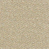 Abingdon Stainfree Tweed Carpet Exen Flooring