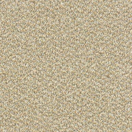 Abingdon Stainfree Tweed Carpet Exen Flooring