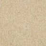 Abingdon Royal Sovereign Carpet Exen Flooring